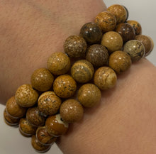 Picture Jasper Mala