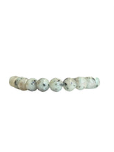 Kiwi Jasper Mala