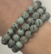 Kiwi Jasper Mala