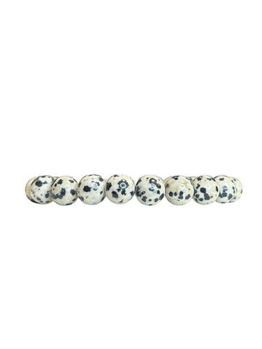 Dalmatian Jasper Mala