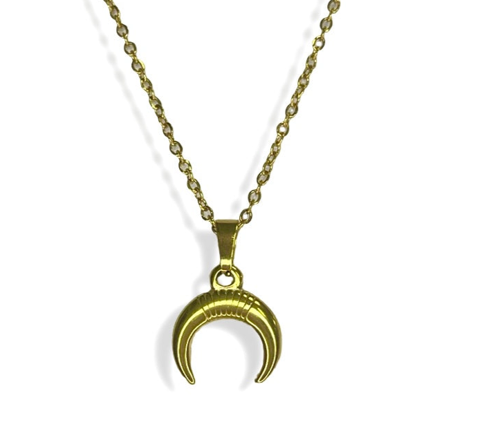 Crescent Moon Necklace