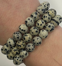 Dalmatian Jasper Mala